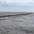 IMG_0037