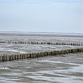 IMG_0040