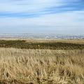 IMG_0052