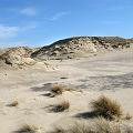 IMG_0079