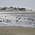 IMG_0083