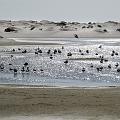 IMG_0084