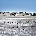 IMG_0086