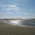 IMG_0089